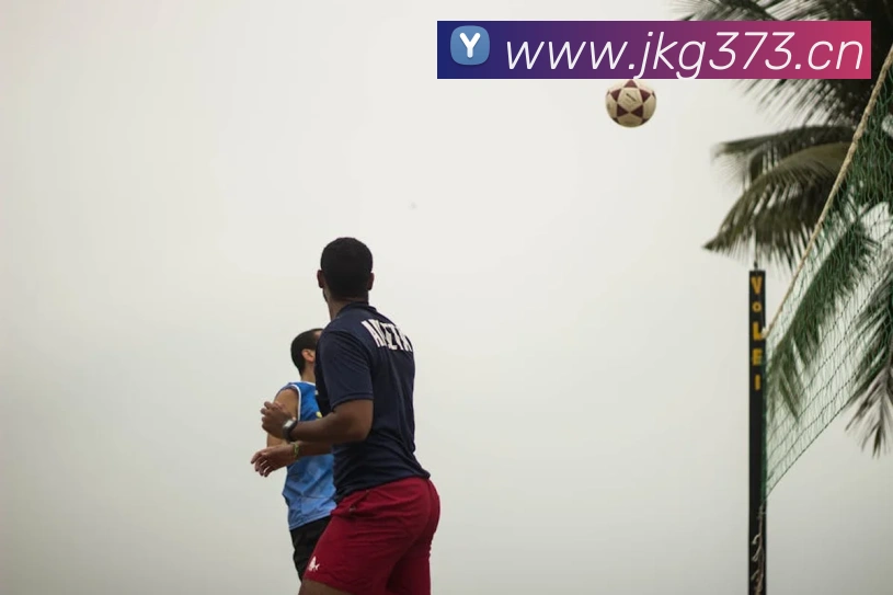 星空体育官方网页入口平台生态图